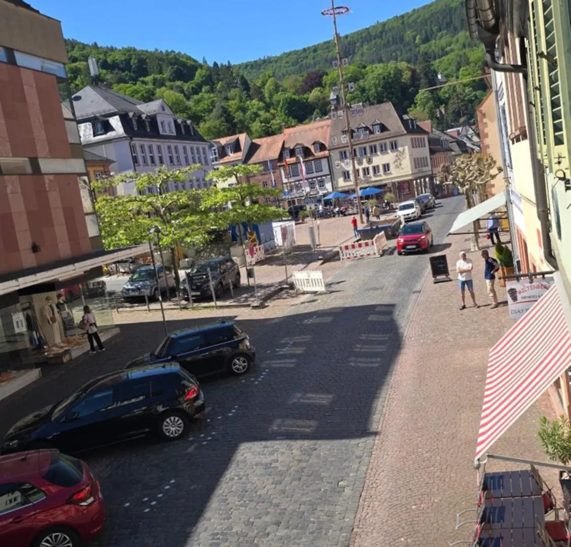Apartment Miltenberg Altstadt Germany